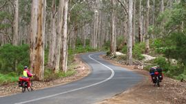 The Boranup Forest is one of the most peaceful places you can ride to in the South West. 